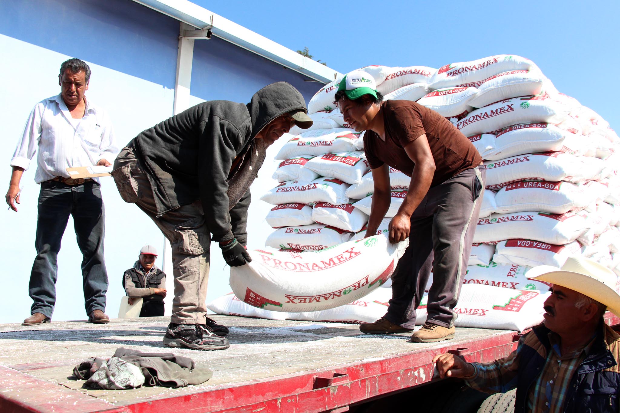 Invierte Gobierno del Estado 38 mdp en fertilizante para productores agrícolas